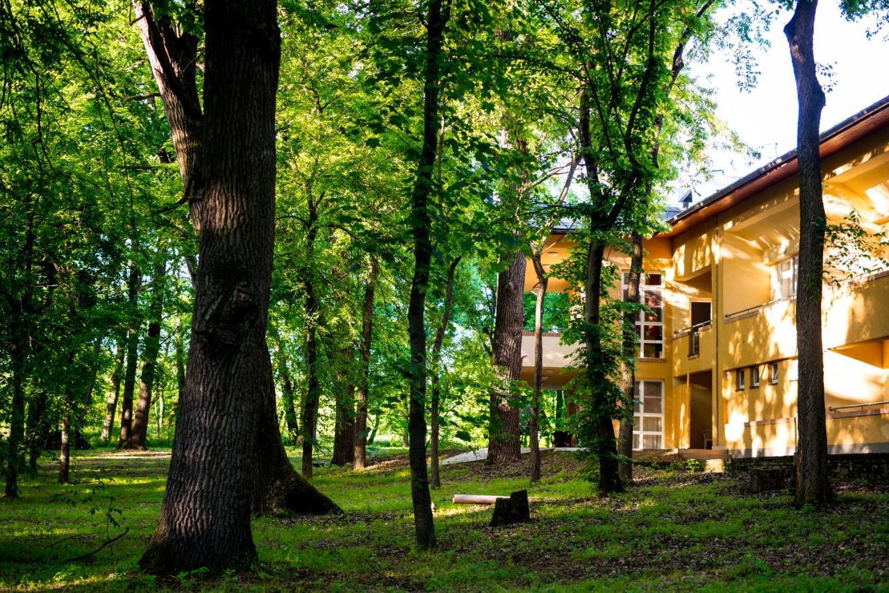 Park Sosto Ньїредьгаза
